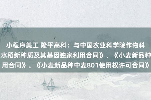 小程序美工 隆平高科：与中国农业科学院作物科学研究所签署《抗螟虫水稻新种质及其基因独家利用合同》、《小麦新品种中麦801使用权许可合同》