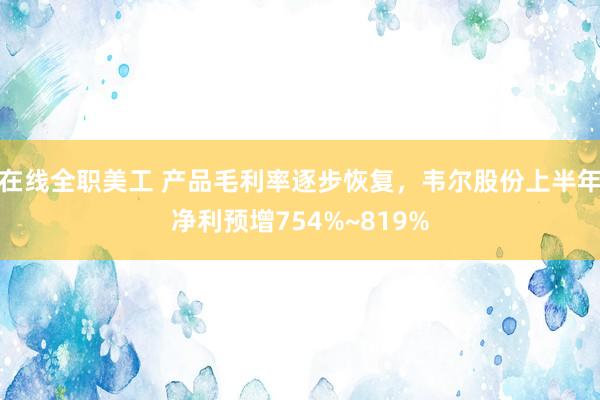 在线全职美工 产品毛利率逐步恢复，韦尔股份上半年净利预增754%~819%