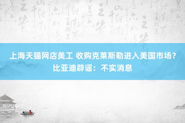 上海天猫网店美工 收购克莱斯勒进入美国市场？比亚迪辟谣：不实消息