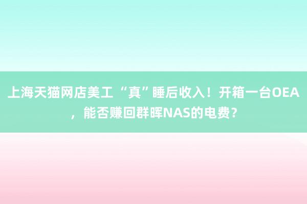 上海天猫网店美工 “真”睡后收入！开箱一台OEA，能否赚回群晖NAS的电费？